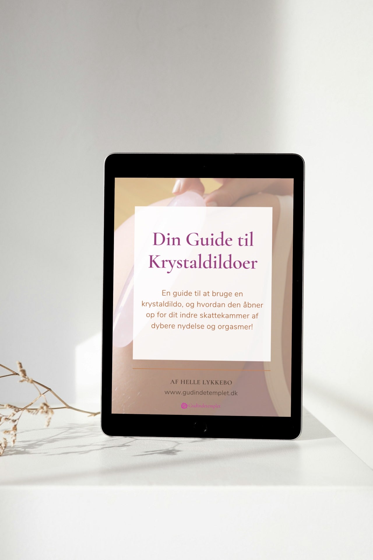 E-Book: Your Guide to Crystal Dildos
