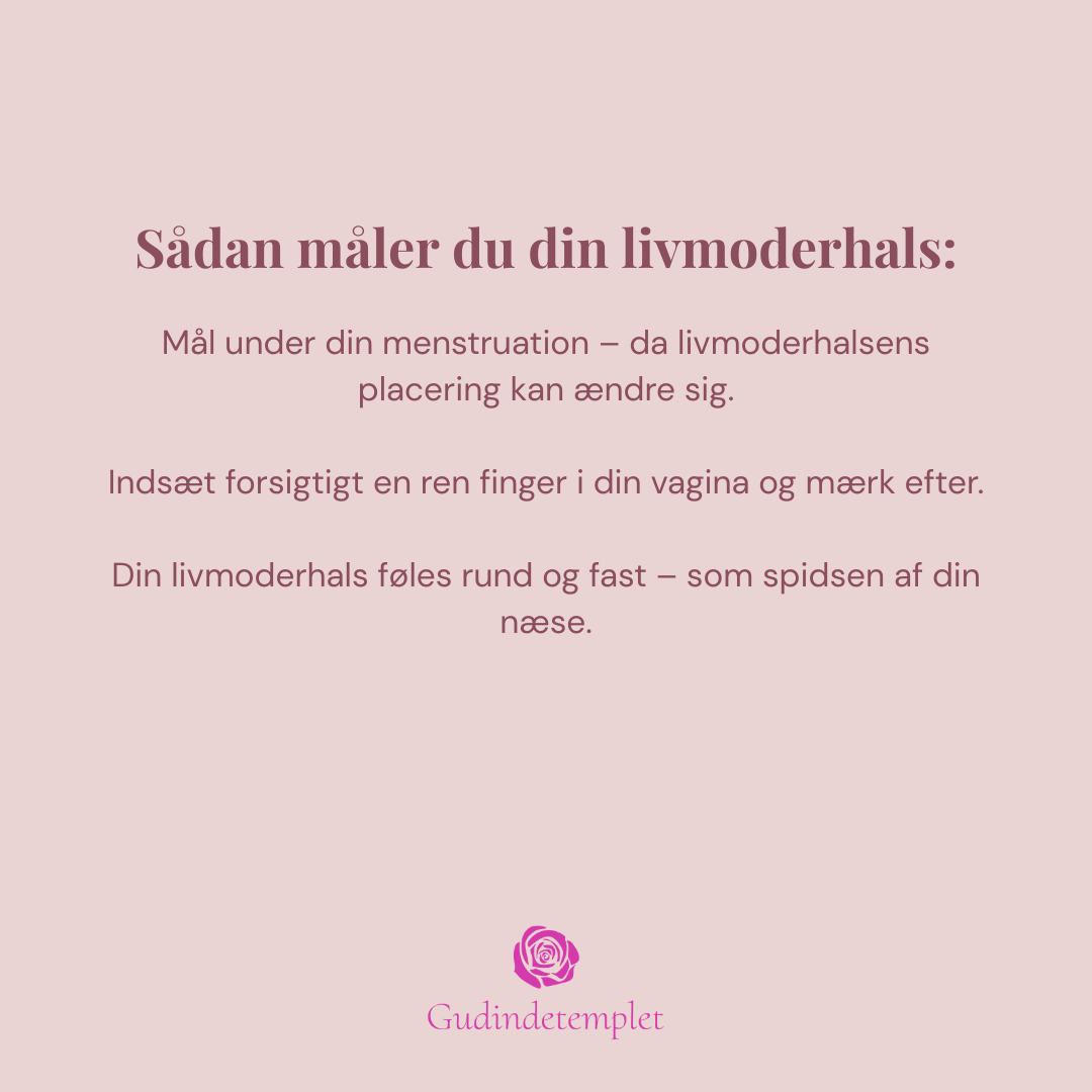 Menstrual disc